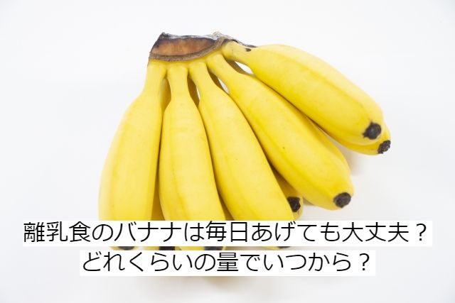離乳食のバナナは毎日あげても大丈夫 どれくらいの量でいつから ママのお役立ち情報を発信中 きゃりーのママライフハック